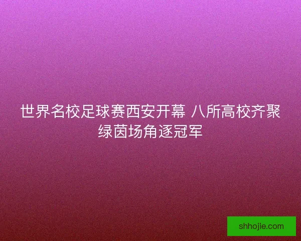 世界名校足球赛西安开幕 八所高校齐聚绿茵场角逐冠军