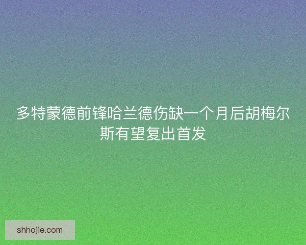 多特蒙德前锋哈兰德伤缺一个月后胡梅尔斯有望复出首发
